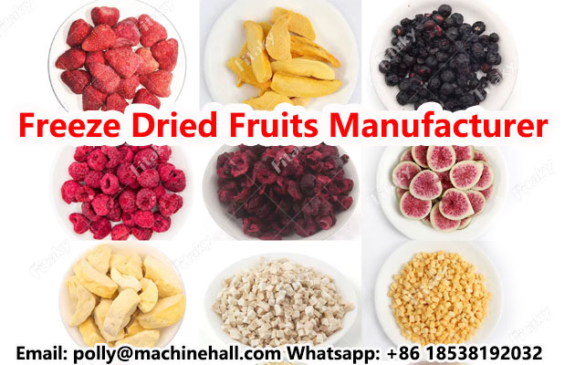 Freeze-dried-fruits-manufacturer