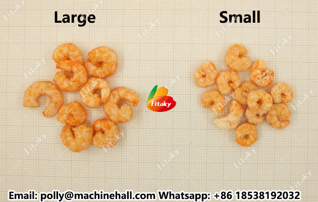 Freeze-dried-shrimps-with-different-size