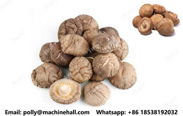 Dehydrated-shiitake-mushrooms