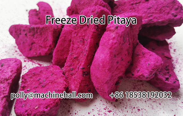 freeze dried pitaya