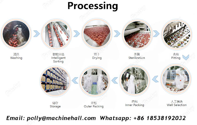 Dried-jujube-dices-processing.jpg